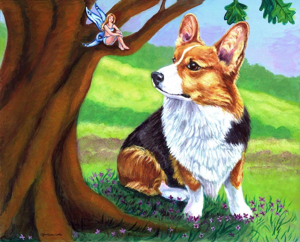 Постер корги