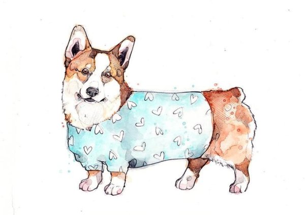 Животные домашние в графики корги
