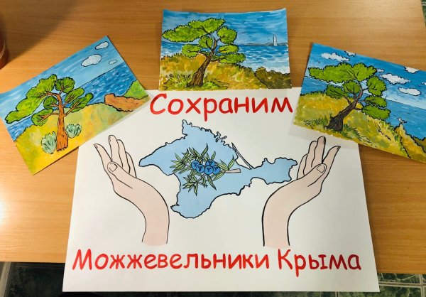 Конкурс можжевельник Крыма рисунок