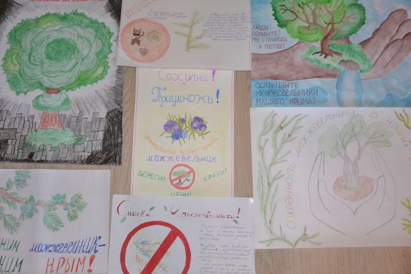 Можжевельники Крыма конкурс