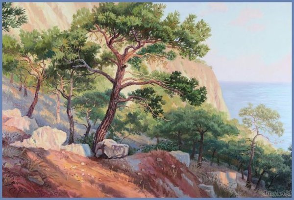 Живопись сосна на скале