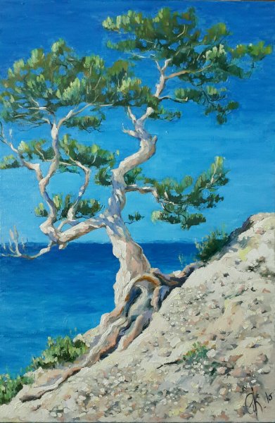 Море крымские сосны на картинах