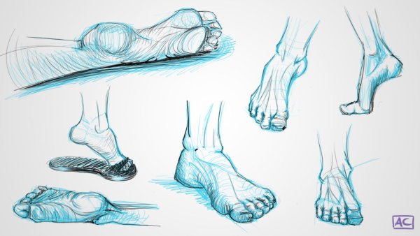 Стопа скетч