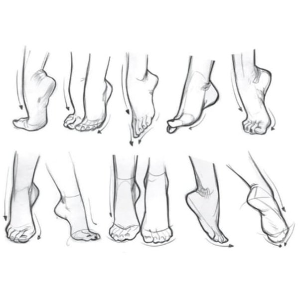 Стопа сбоку референс