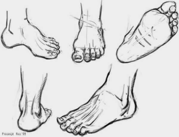 Ноги в разных ракурсах