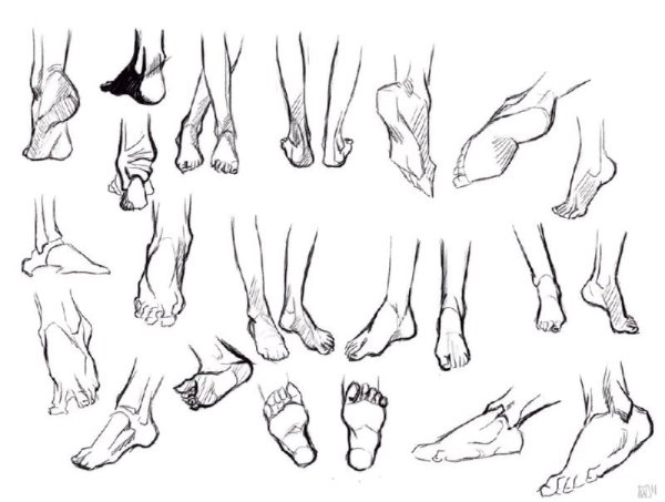 Нога спереди референс