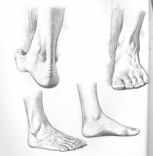 Ноги карандашом