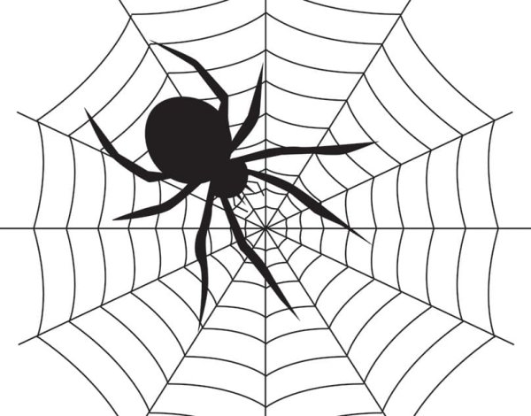 Паук и паутина для детей
