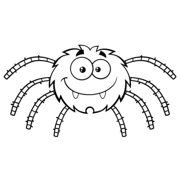 Паук раскраска для детей