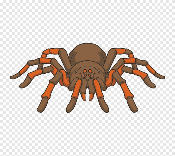 Паук мультяшный