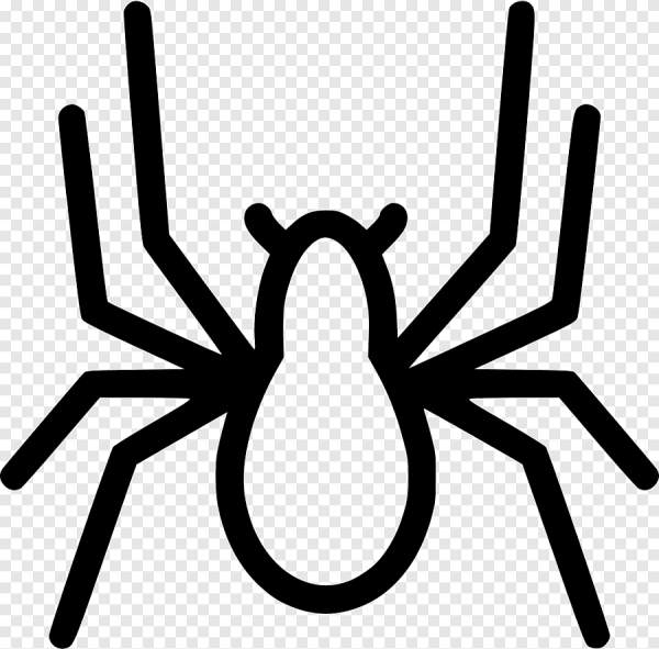 Паук клипарт на прозрачном фоне