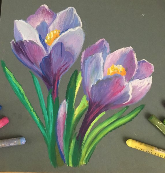 Цветы пастелью сухой