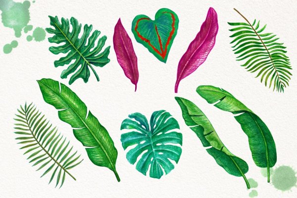 Тропические листья скетч