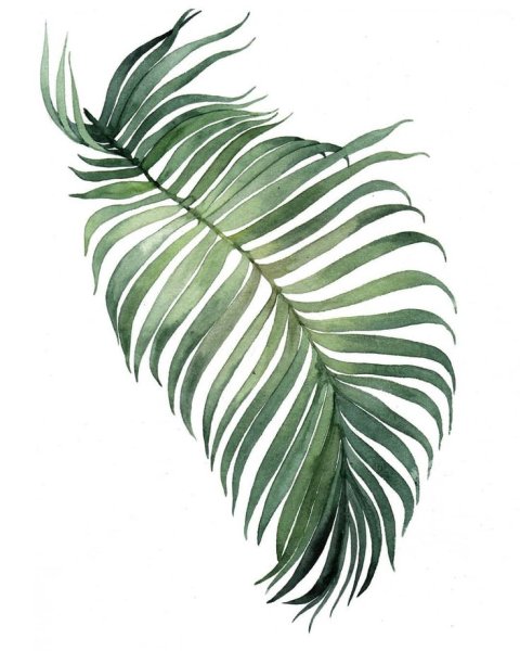 Tropical Leaf Aquarel