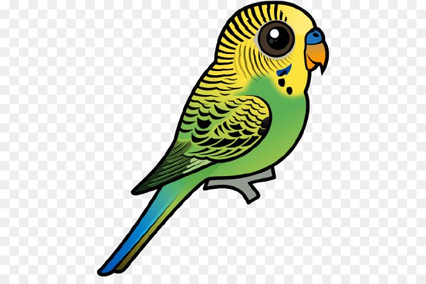 Попугайчик мультяшный