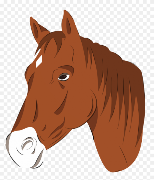 Лошадиная голова