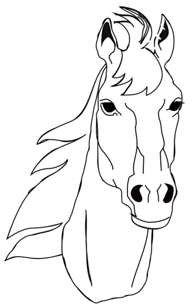 Морда лошади