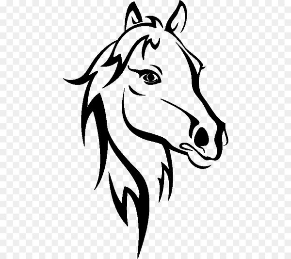 Голова лошади рисунок