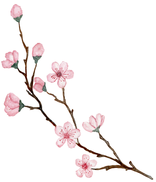 Ветка с цветами