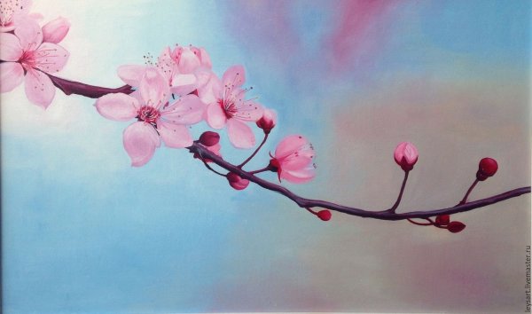 Ветка Сакуры рисунок