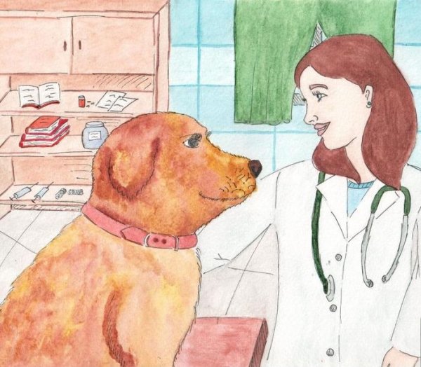 Моя будущая профессия ветеринар