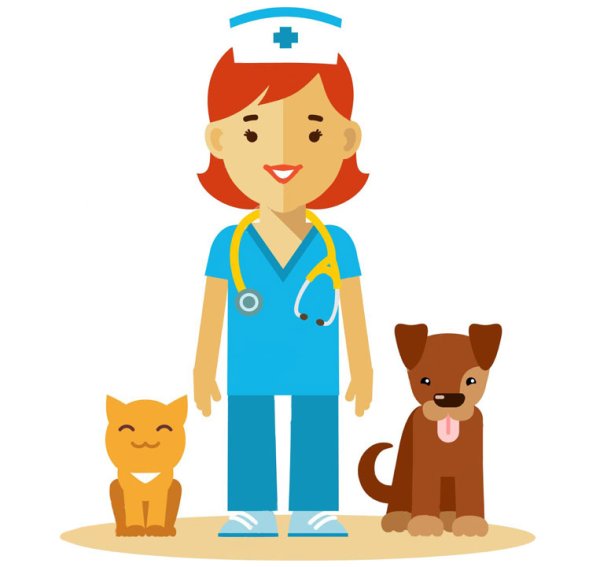 Стикеры ветеринар