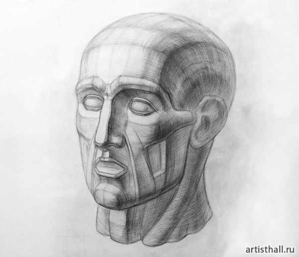 Савинский Василий Евменьевич рисунки гипсовая голова