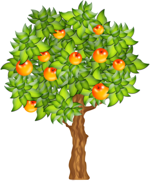 Фруктовые деревья для детей