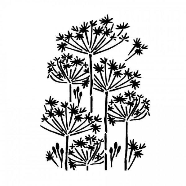 Разукрашка укроп