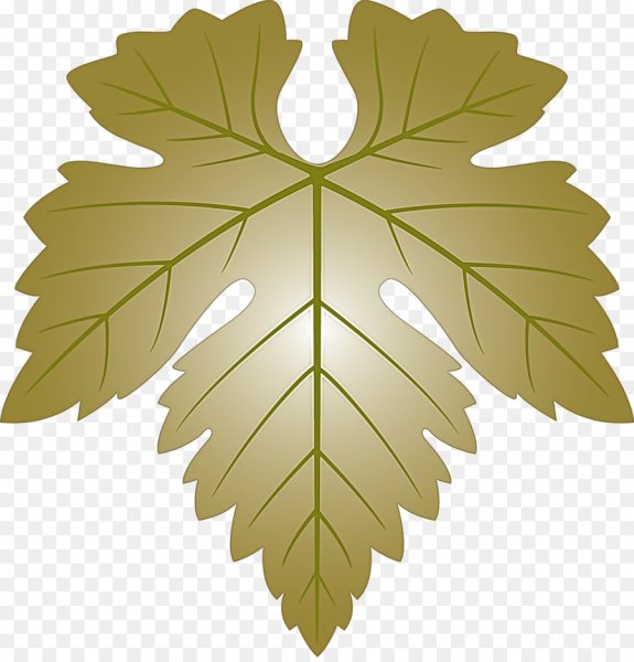 Лист винограда