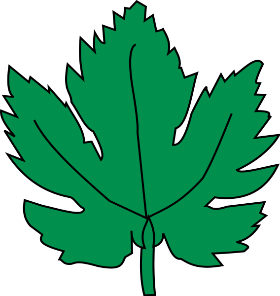 Лист винограда трафарет