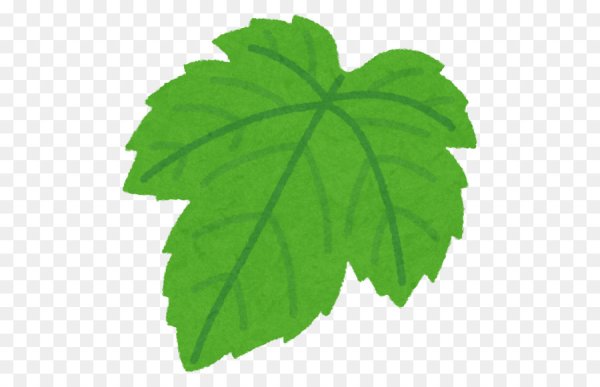 Лист винограда для детей