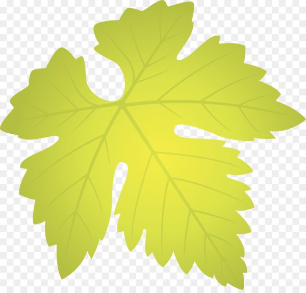 Виноградный лист