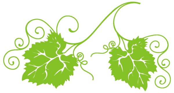 Виноградная лоза coreldraw