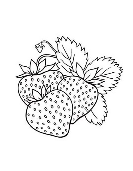 Клубника раскраска