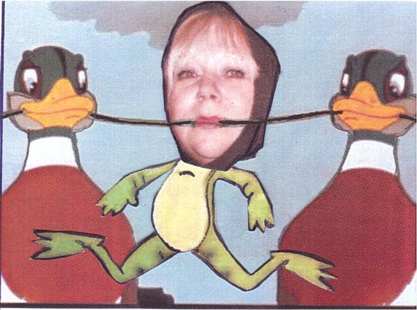 Сказка Гаршина лягушка путешественница