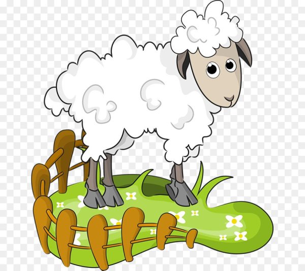 Барашек раскраска