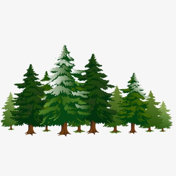 Лес рисунок