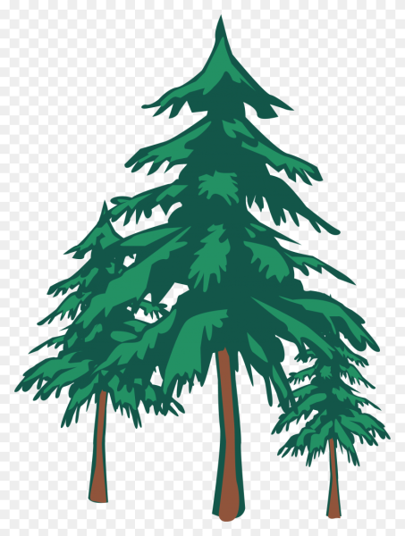 Сосны мультяшные