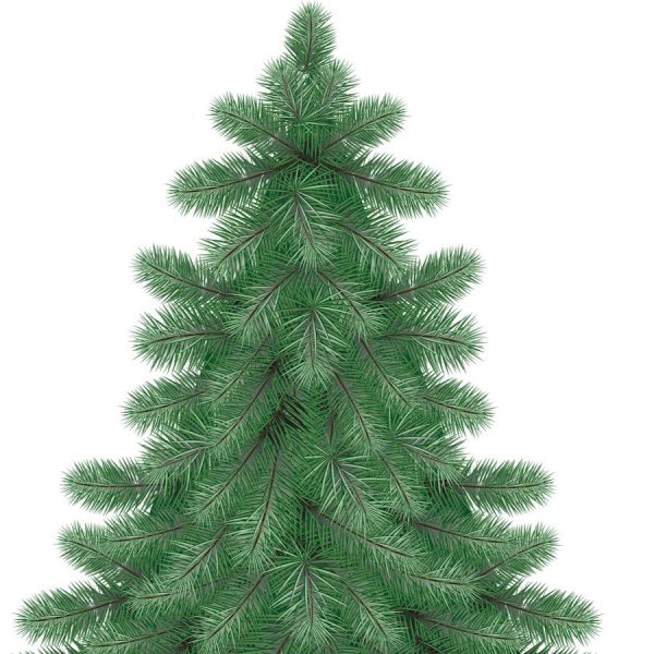 Елка рисунок