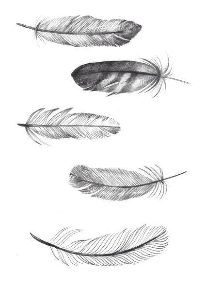 Перо для срисовки карандашом