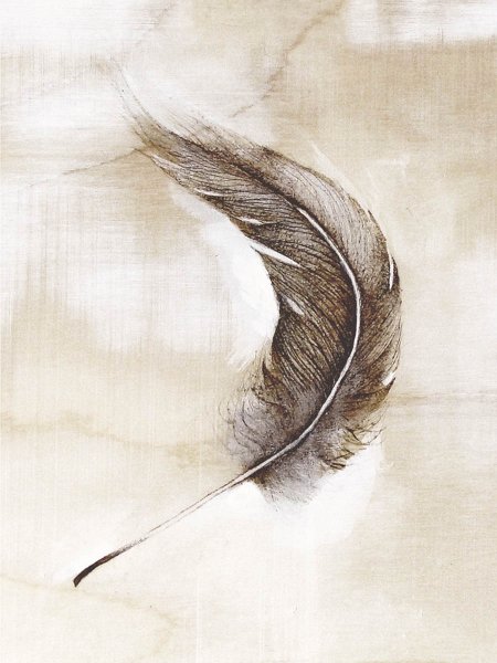 Перо раскраска для детей