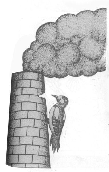 Дым коромыслом фразеологизм