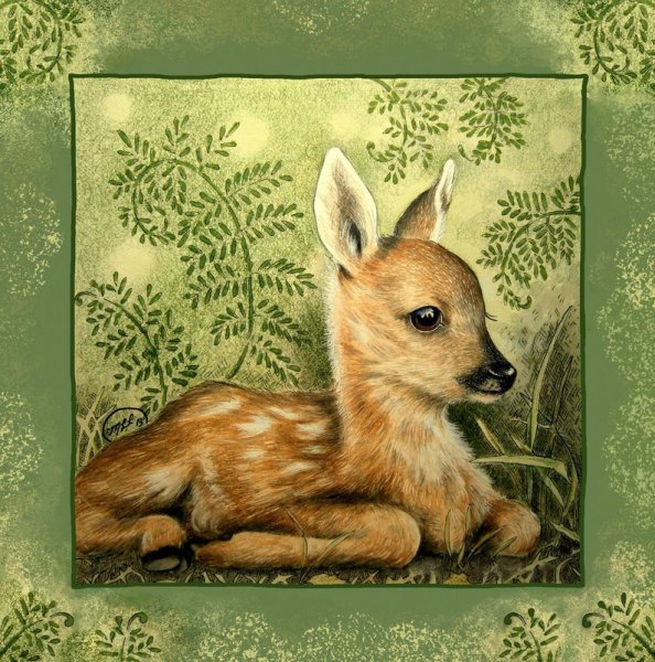 Олениха лежит