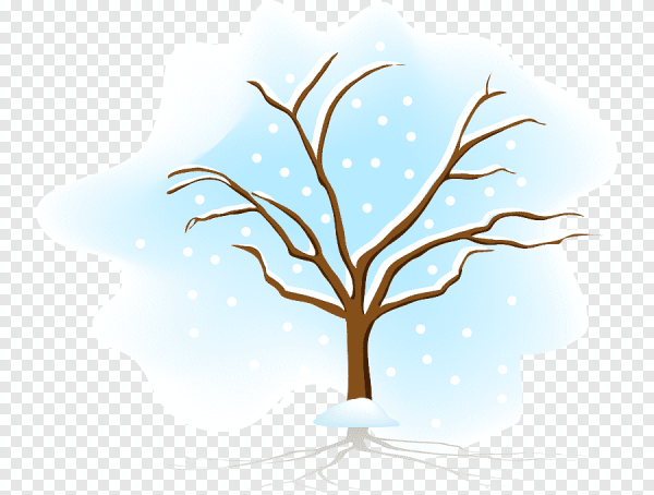 Деревья зимой для детей