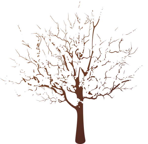 Зимние деревья