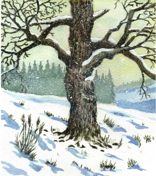 Зимний пейзаж легкий