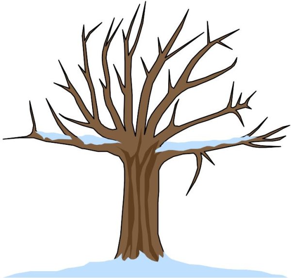Дерево без листьев на синем фоне