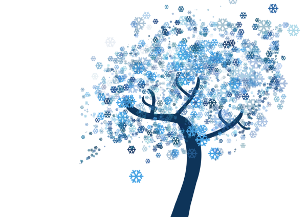 Тема:«деревья в инее» (Комарова т.с., с.91)