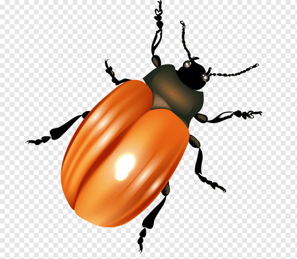 Жук мультяшный